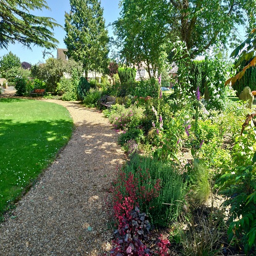 Andy garden pic